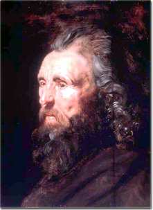 Rubens, studio di testa virile
